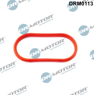 DR.MOTOR AUTOMOTIVE Прокладка, выпускной коллектор DRM0113